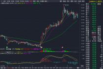 《激励计划》及《授予协议》应为股票行权及限制的依据